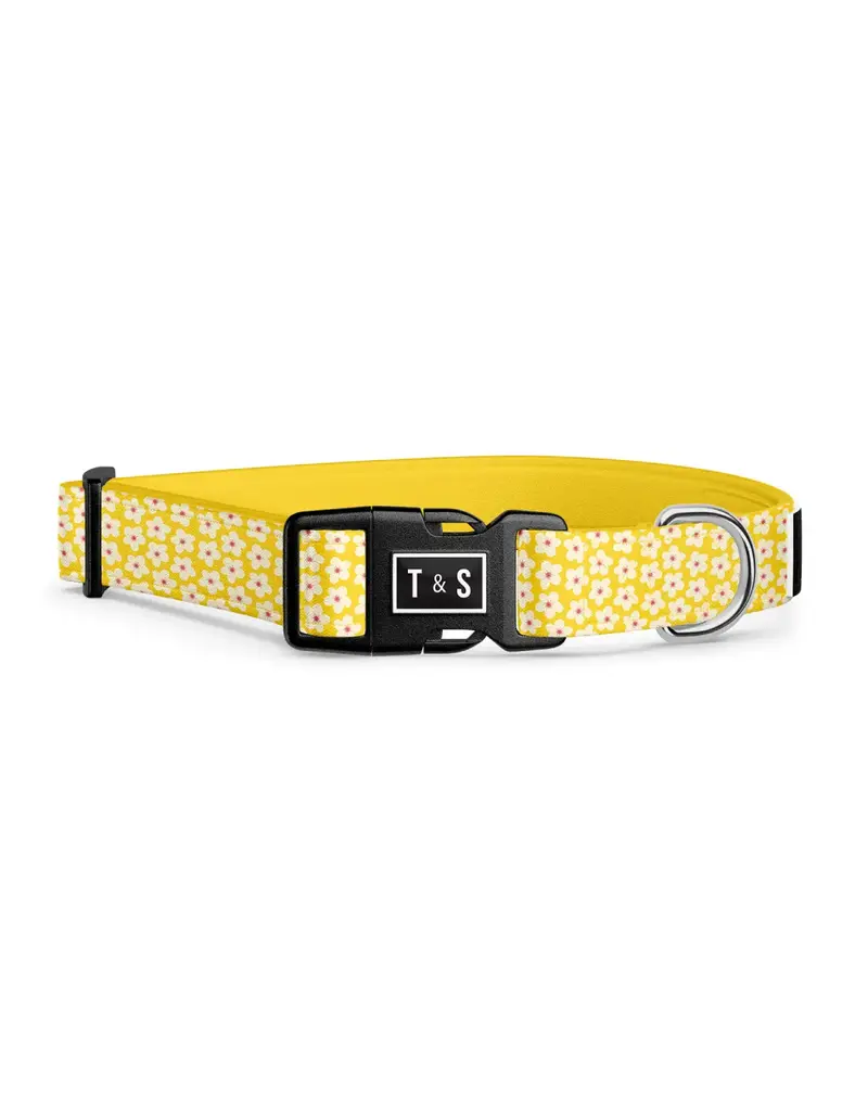 Tella & Stella Tella & Stella collier pour chien florence