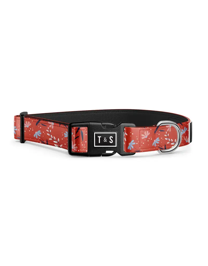 Tella & Stella Tella & Stella collier pour chien livia