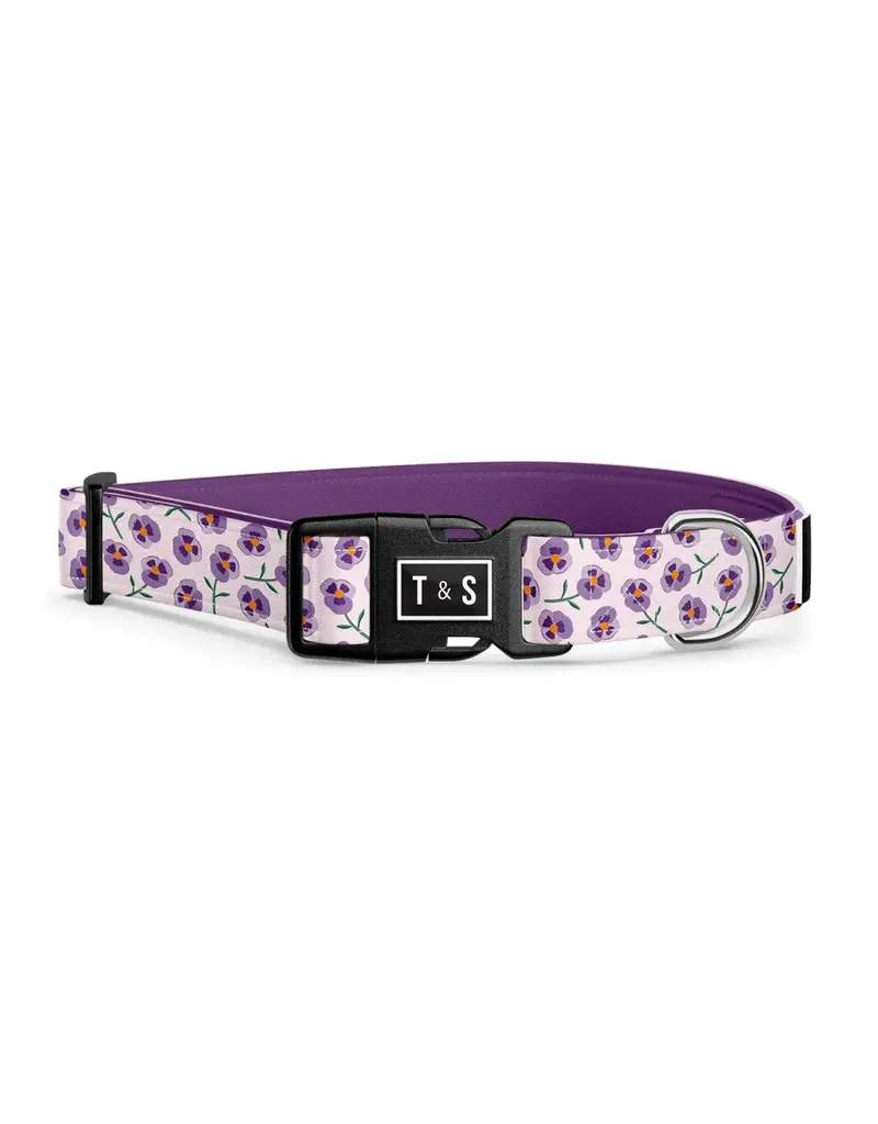Tella & Stella Tella & Stella collier pour chien Violette