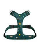 Tella & Stella Tella & Stella harnais hybride pour chien houston petit