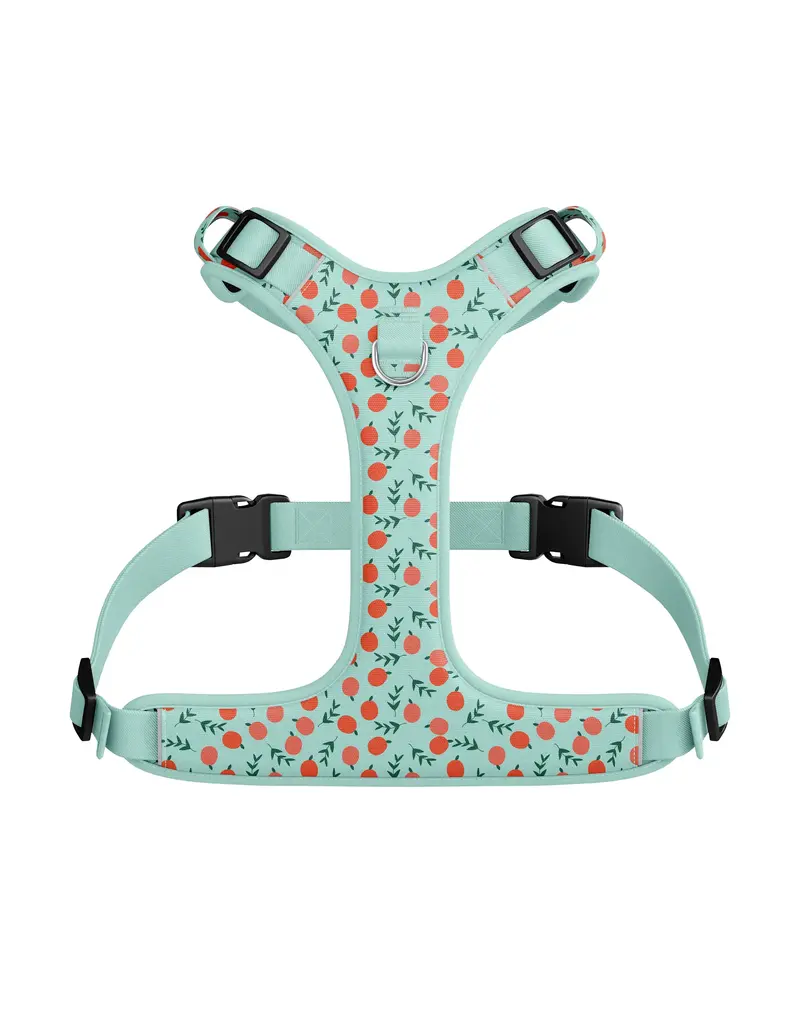 Tella & Stella Tella & Stella harnais hybride pour chien pêche moyen