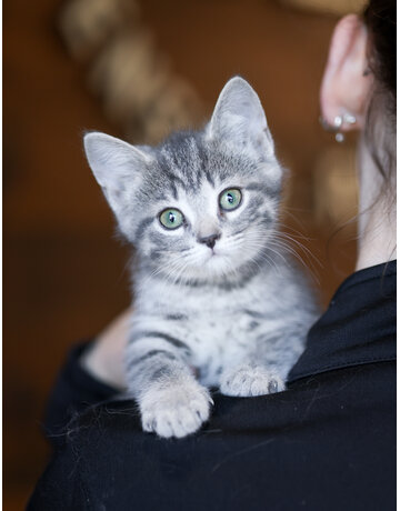 SAMARA