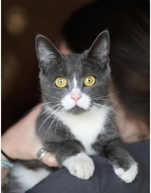 MINETTE