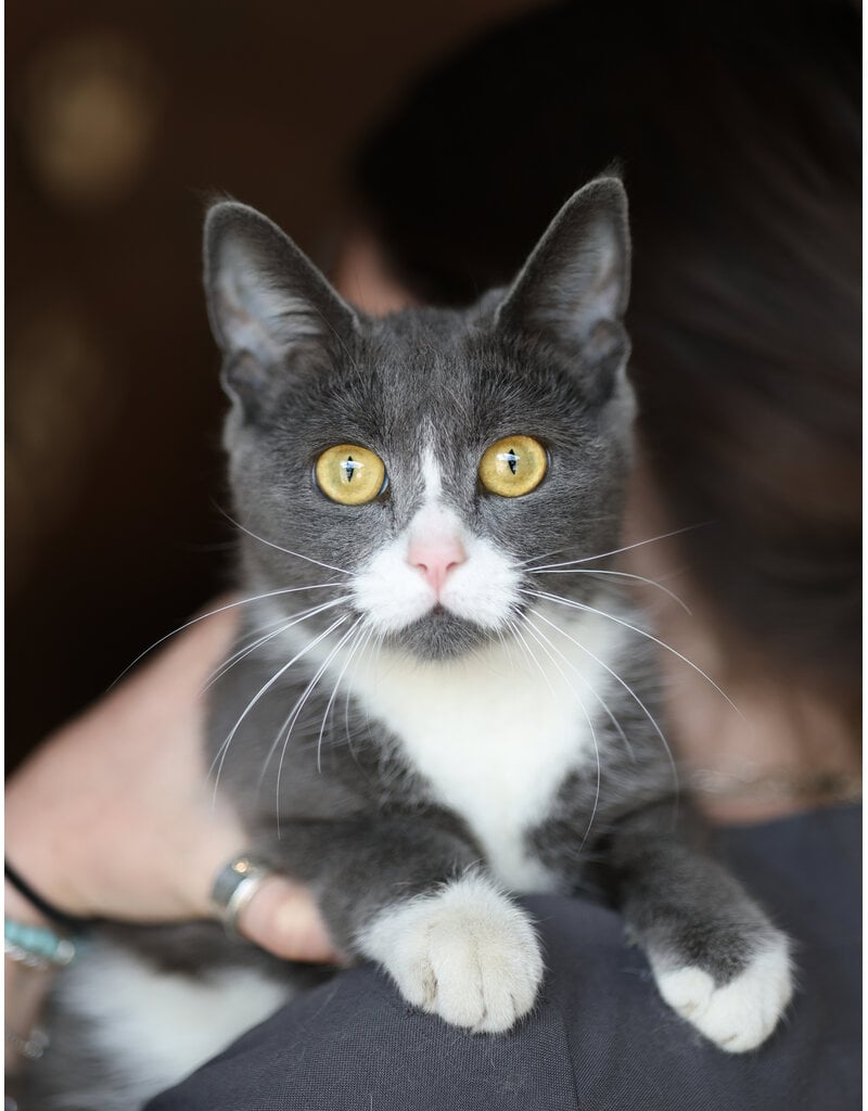 MINETTE