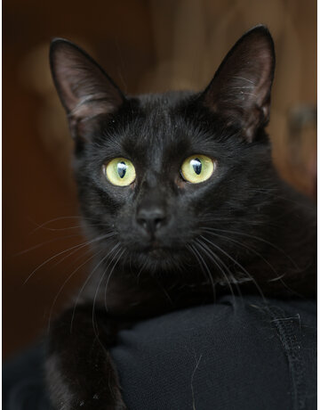 NYX