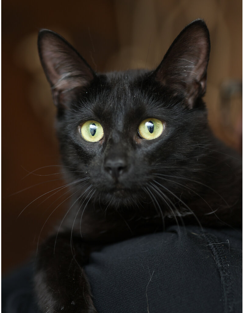 NYX