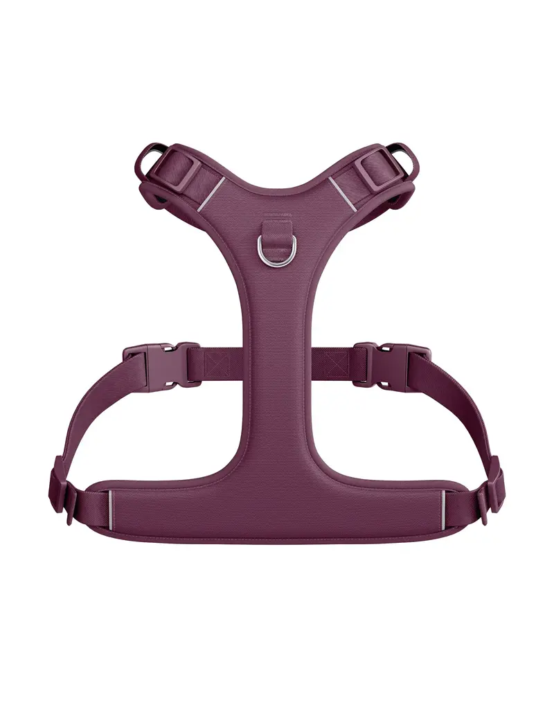Tella & Stella Tella & Stella harnais hybride pour chien prune petit