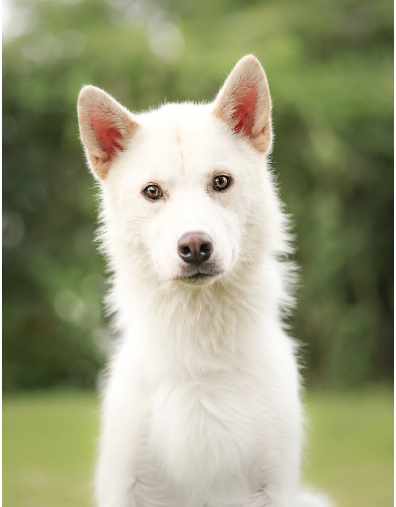 NUKI