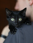 KIKI