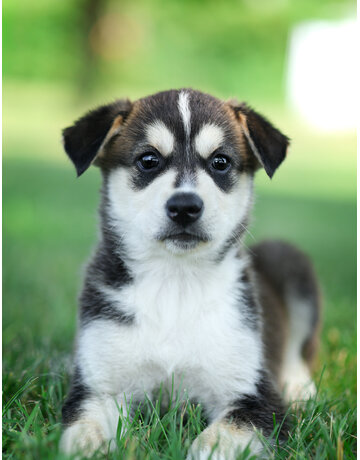 MIA