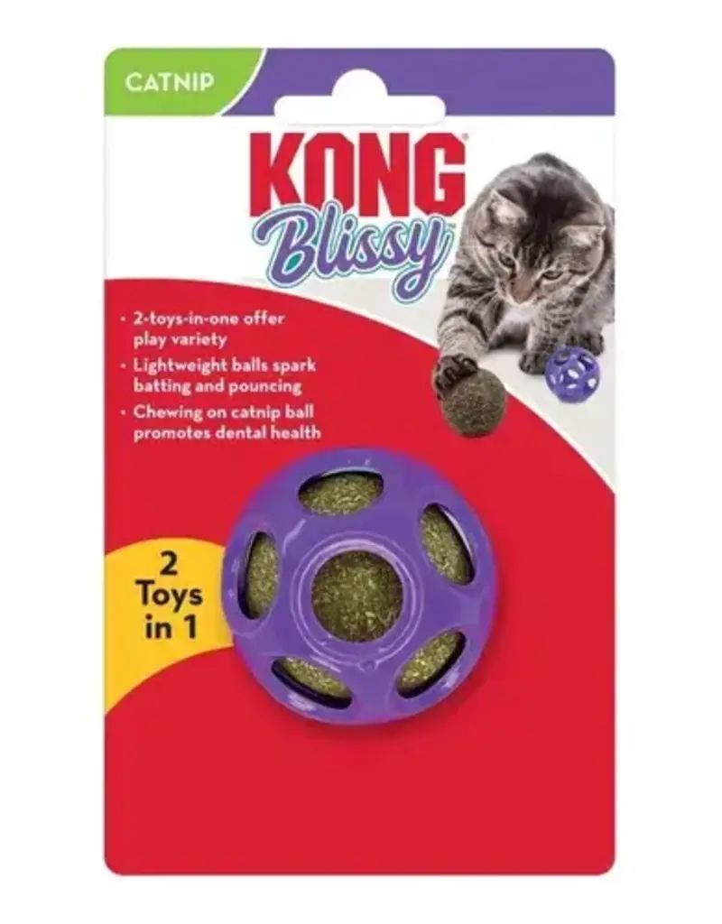 Kong Kong Blissy balle à trous avec balle d'herbe à chat à l'intérieur