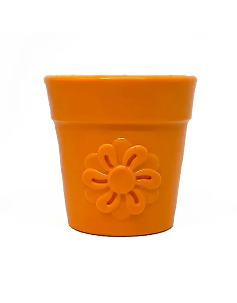 Soda Pup SodaPup Pup-x rubber pot de fleur durable orange.
