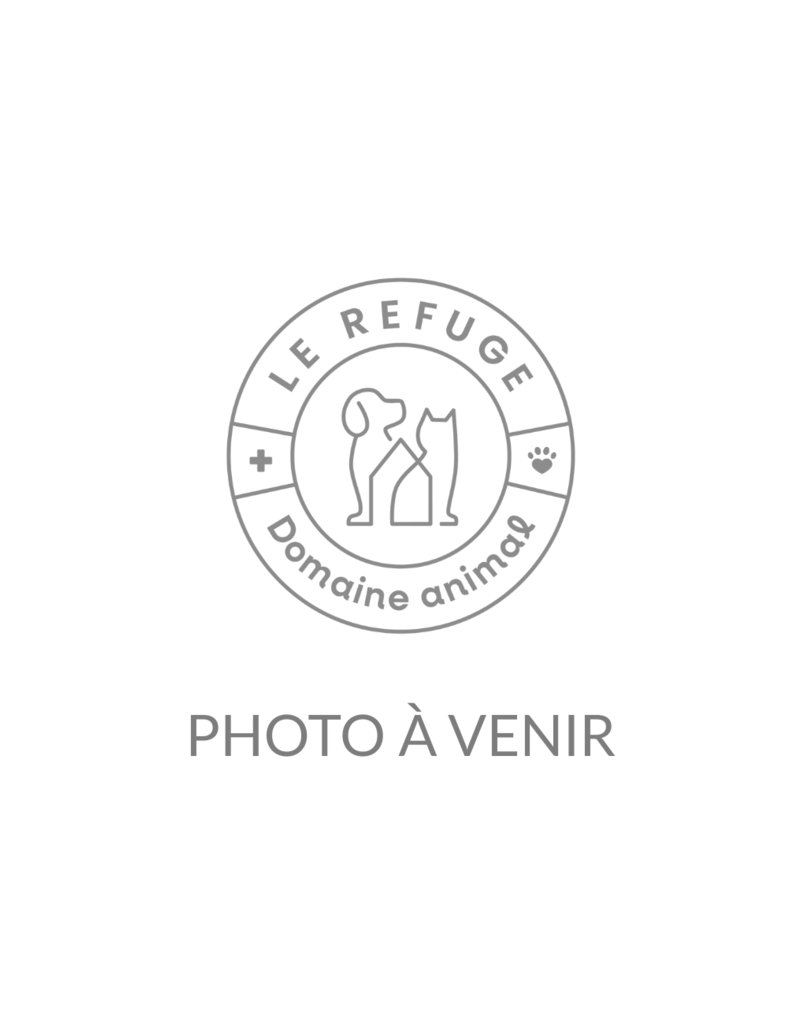 AULNE