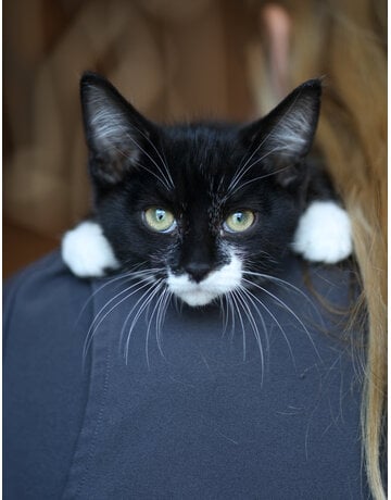 BÉBÉ LOU