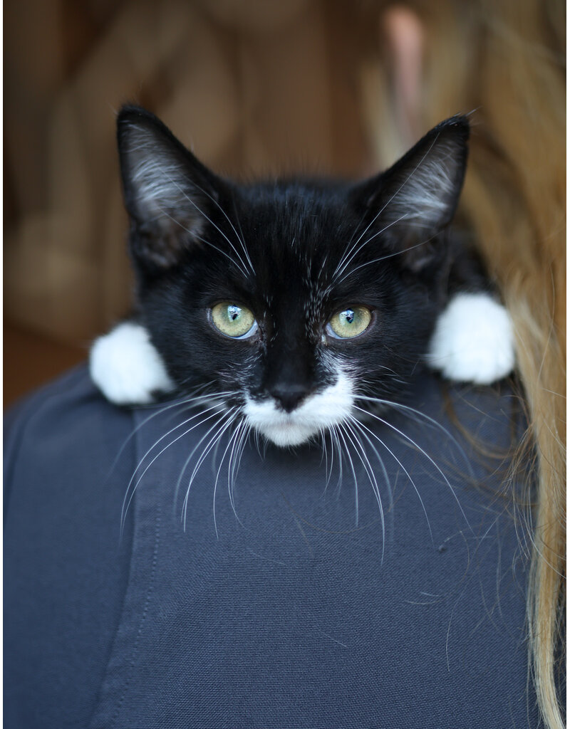 BÉBÉ LOU