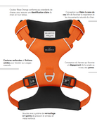 Tella & Stella Bramstun harnais horizon pour chien orange petit
