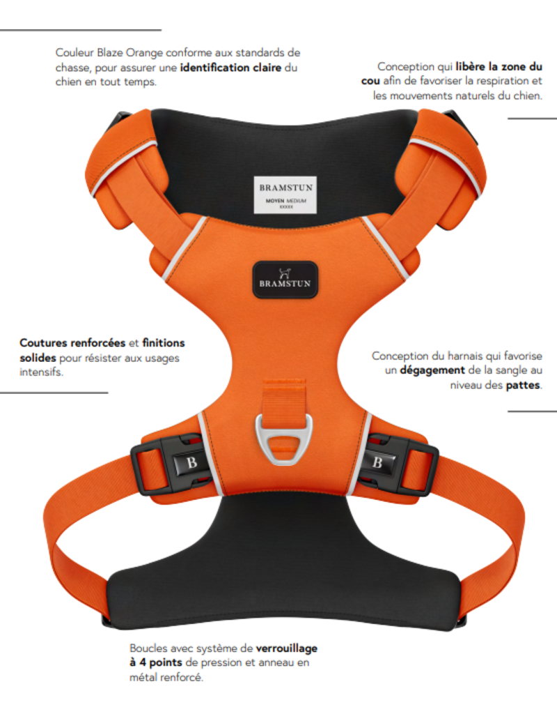 Tella & Stella Bramstun harnais horizon pour chien orange petit