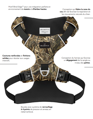 Tella & Stella Bramstun harnais horizon pour chien blind edge moyen