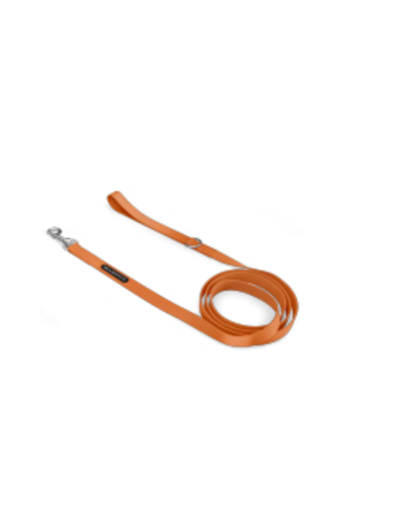 Tella & Stella Bramstun laisse pour chien orange grandeur 3/4" x 5"