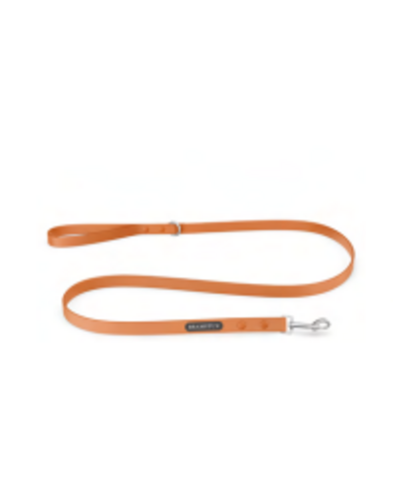 Tella & Stella Bramstun laisse imperméable pour chien orange grandeur 3/4" x 5"