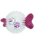 Bud'z Bud'z jouet pour chien balle poisson mauve