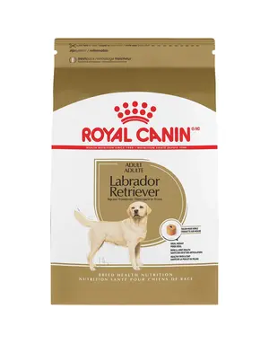 Royal Canin Royal Canin labrador adulte 5 lb
