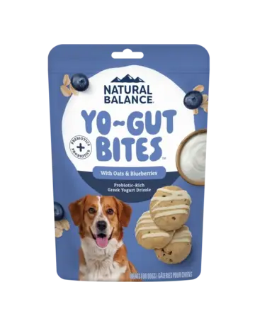 Bouchées Yo-Gut, riche en probiotiques avoine et bleuet 4.5 oz