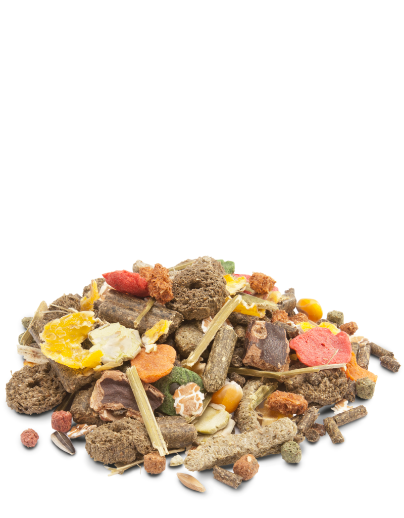 Versele-Laga Versele-Laga Crispy muesli pour lapins 2.75kg.