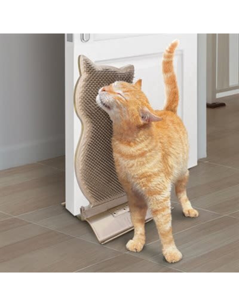 Kong Kong connect peigne grattoir mural pour chat