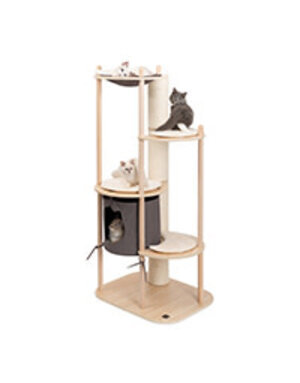 Vesper Vesper, arbre à chat grand