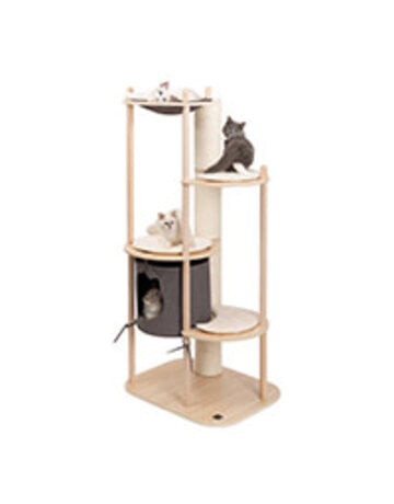 Vesper Vesper, arbre à chat grand