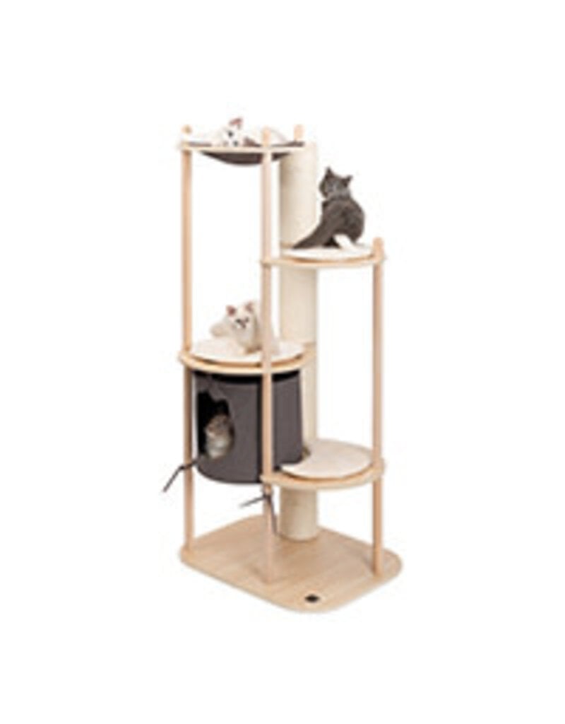 Vesper Vesper, arbre à chat grand