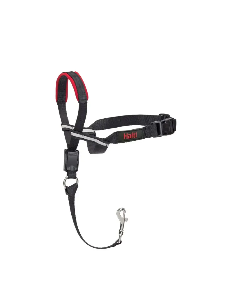 The company of animals Halti train licol optifit taille medium