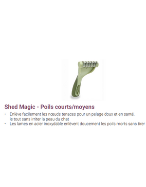 Safari Safari Shed Magic poils courts pour chat