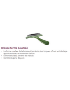 Safari Safari brosse ferme courbée petit