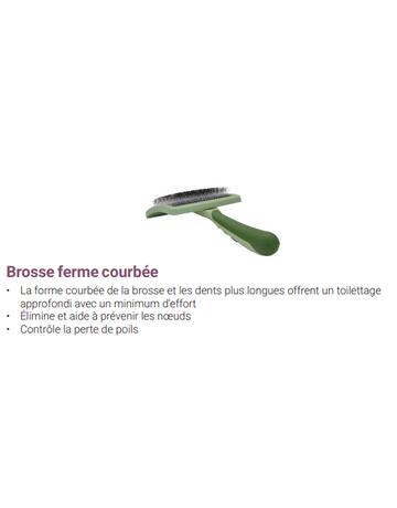Safari Safari brosse ferme courbée petit