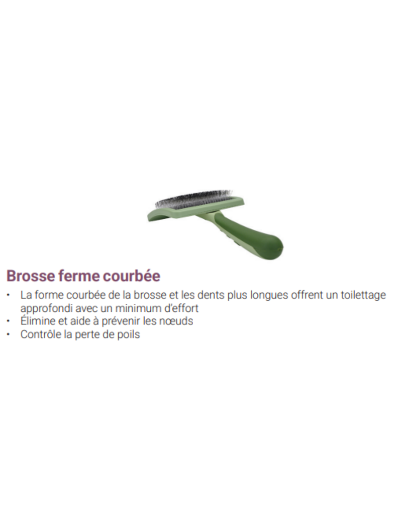 Safari Safari brosse ferme courbée petit