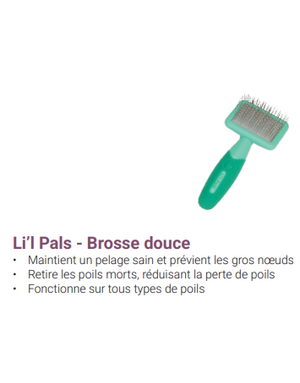 Safari Li'l Pals brosse douce pour chiot