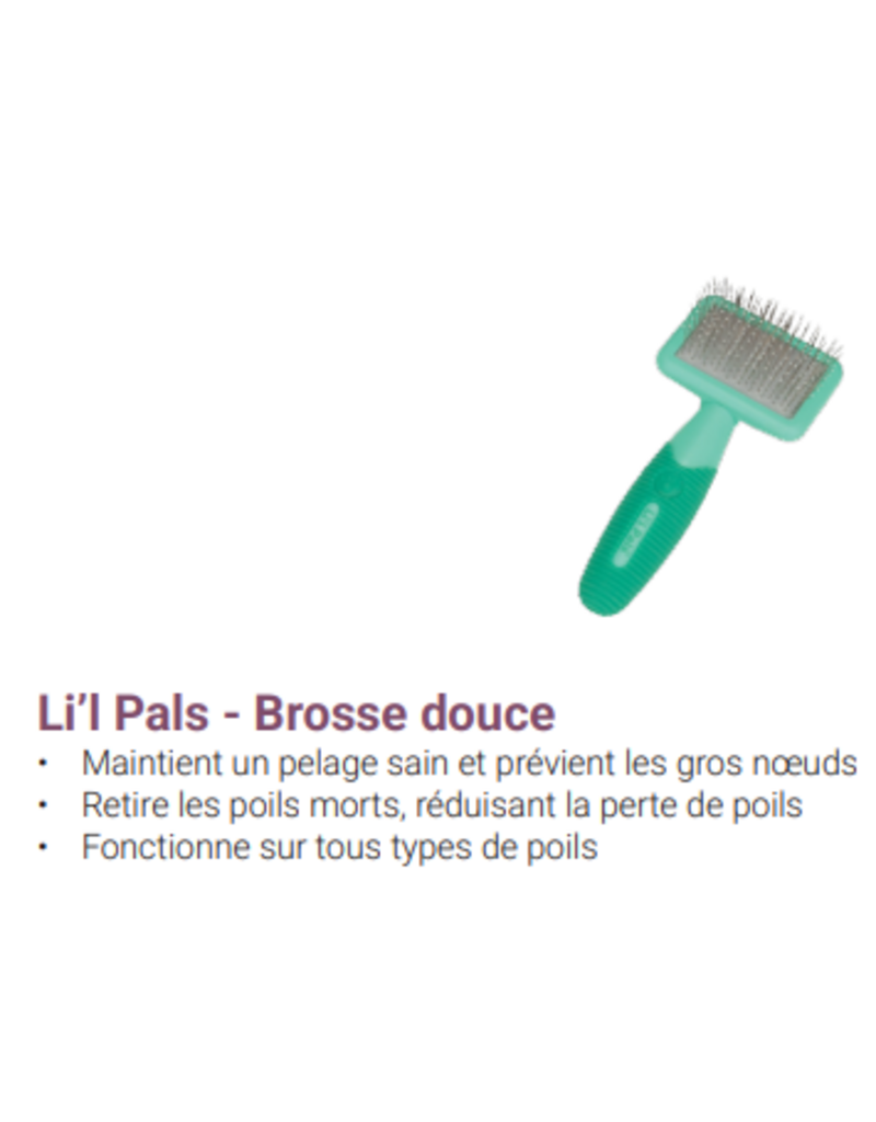 Safari Li'l Pals brosse douce pour chiot