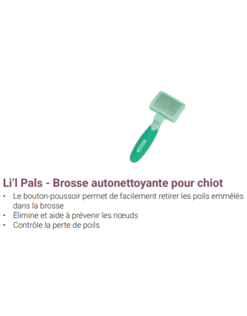Safari Li'l Pals brosse auto-nettoyante pour chiot