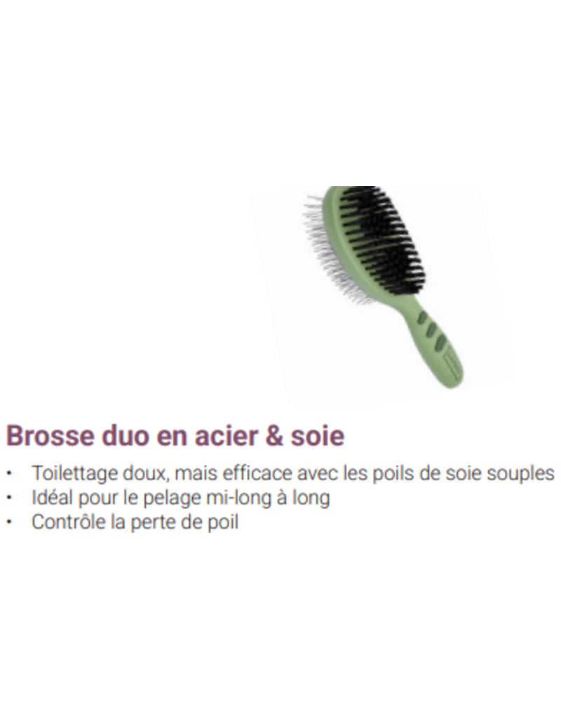 Safari Safari brosse duo en acier et soie large