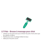 Safari Li'l pals brosse à massage pour chiot