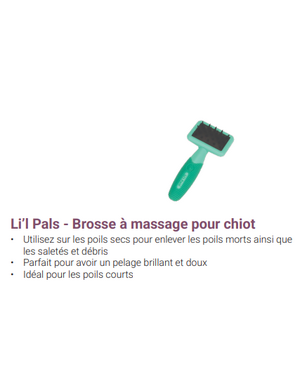 Safari Li'l pals brosse à massage pour chiot