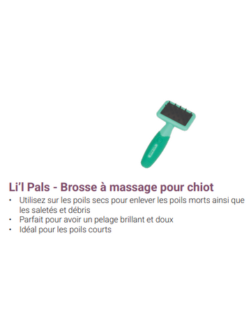 Safari Li'l pals brosse à massage pour chiot