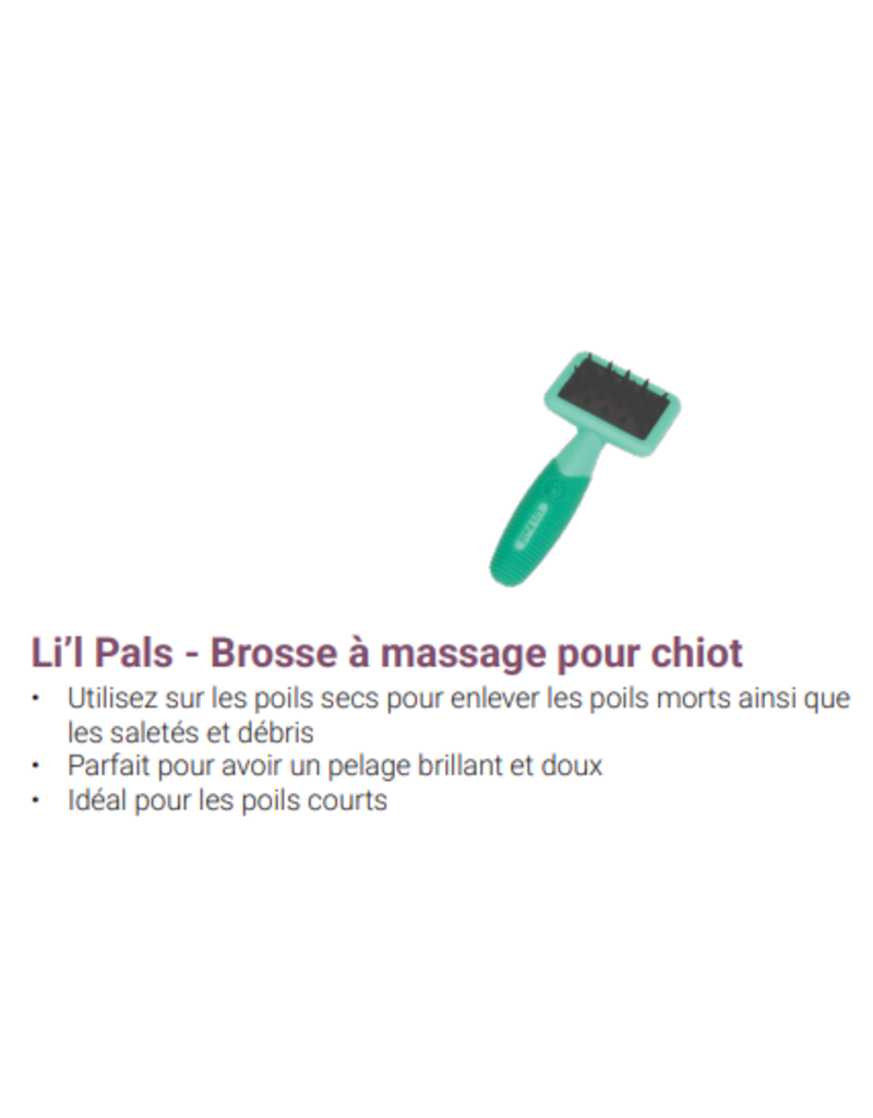 Safari Li'l pals brosse à massage pour chiot
