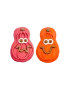 Bosco & Roxy's Bosco & Roxy's citrouilles rose et orange