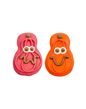Bosco & Roxy's Bosco & Roxy's citrouilles rose et orange