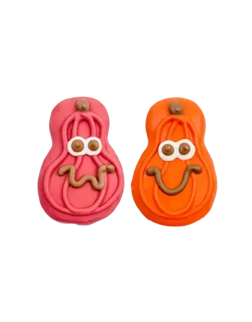 Bosco & Roxy's Bosco & Roxy's citrouilles rose et orange
