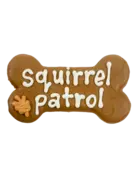 Bosco & Roxy's Squirrel patrol