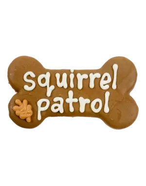 Bosco & Roxy's Squirrel patrol